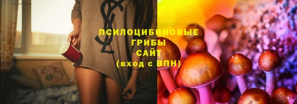 синтетический гашиш Пролетарск