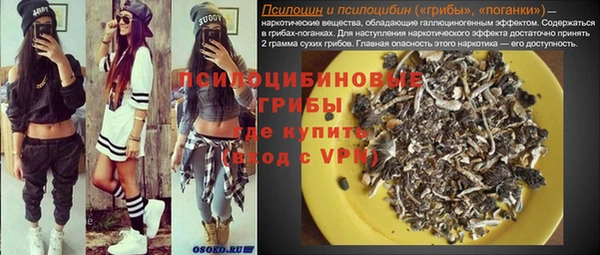 spice Приозерск