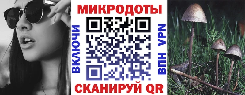 Псилоцибиновые грибы GOLDEN TEACHER  Ковров 