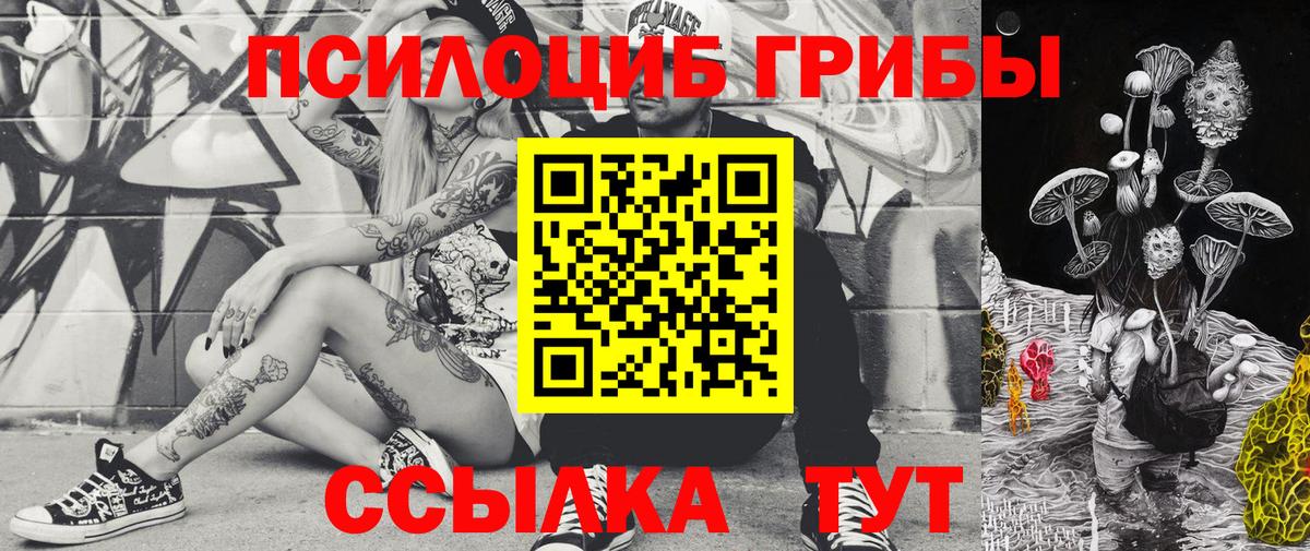 Псилоцибиновые грибы мицелий  Вход с VPN  Ковров 